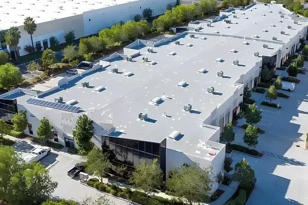 Expert Replacement in Tampa — Built to Last