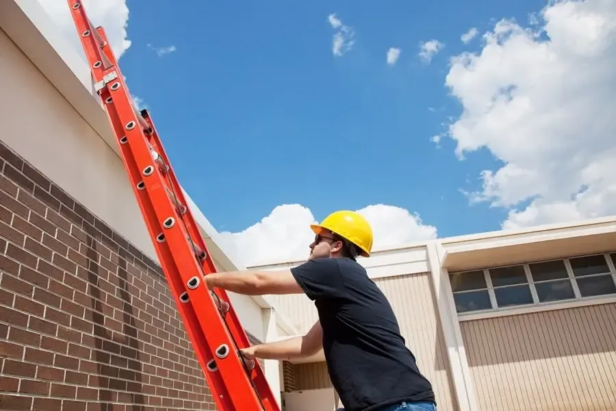 Flat Roof Repairs in Lake Magdalene What You Need to Know