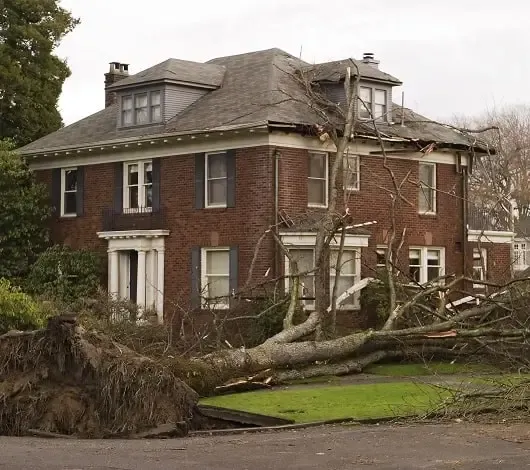 Highlights on Storm Damage Roof Repair in Tampa