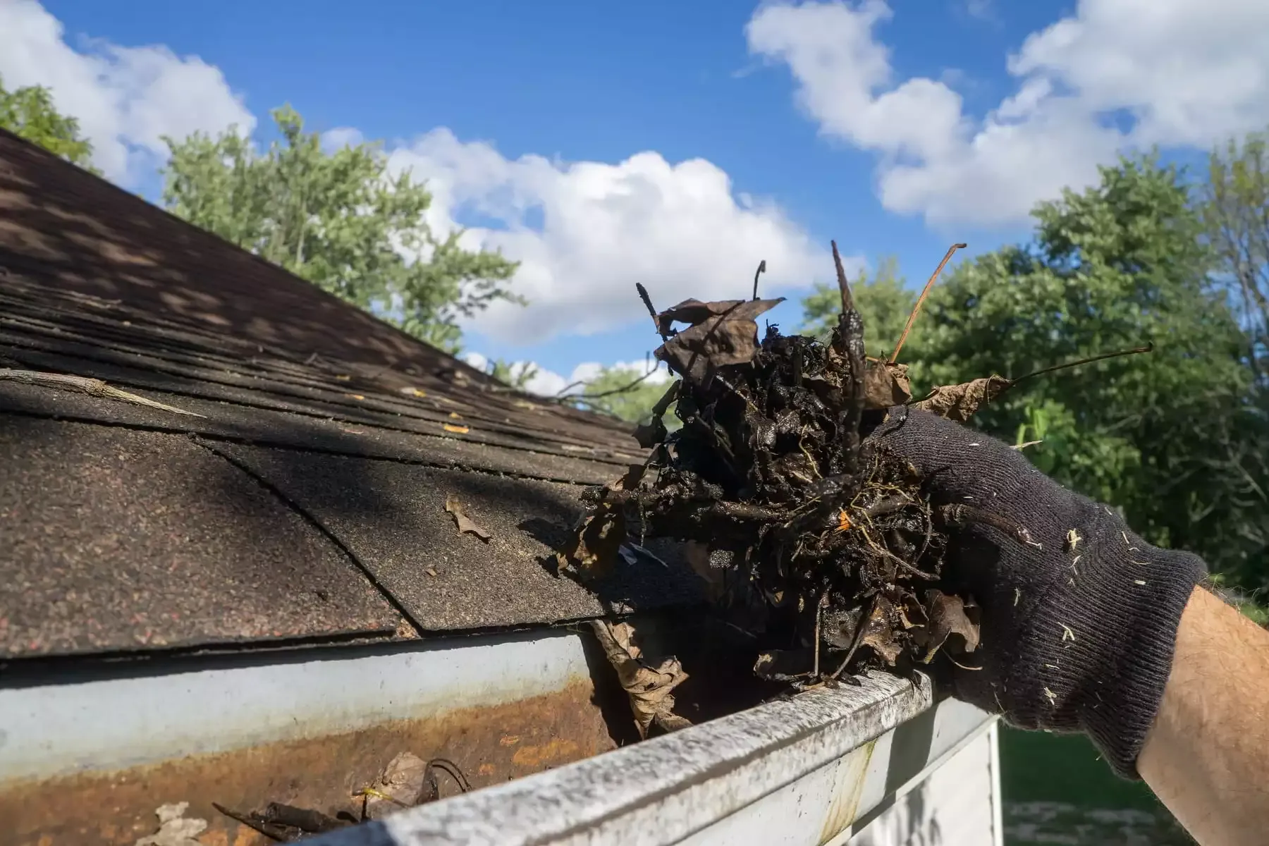 Roof Maintenance Inverted
